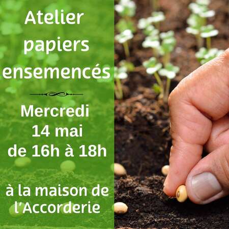 Atelier papiers ensemencés