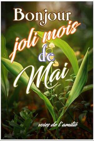 A Saint Gilles Croix de Vie en Mai 2025