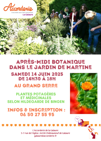 Atelier plantes médicinales