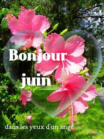 Juin à Saint Gilles