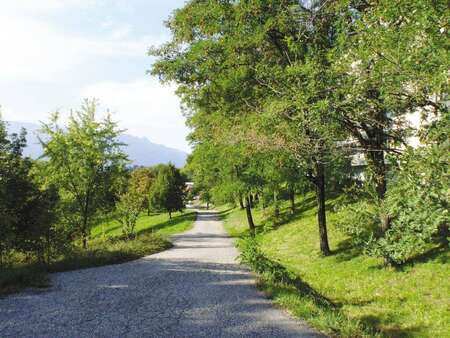 FORET DU TALWEG EN FÊTE