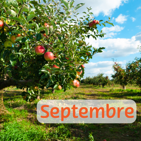 Agenda de septembre