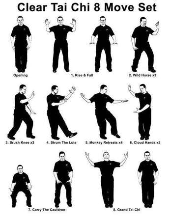 TAI CHI CHUAN