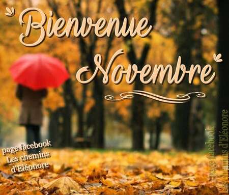 Bonjour novembre