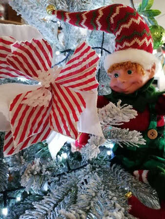 NOËL ENSEMBLE - MARDI 23/12 à partir de midi, 10 Pl.Cavaillon Brignoles