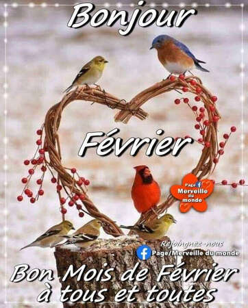 Février à Commequiers