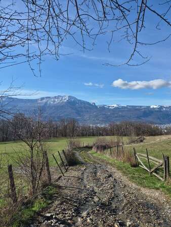 NOUVEAUTÉ 2026 - Promenade à travers les saisons