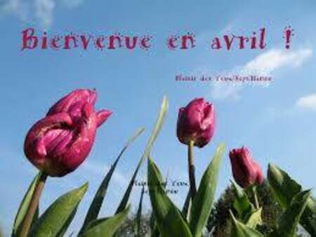 Programme du mois d'avril
