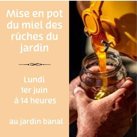 Mise en pot du miel