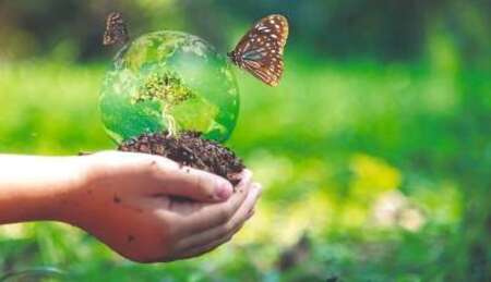 Biodiversité / Confection de bombes à graines le 20 octobre