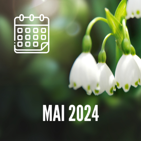 Mai 2024