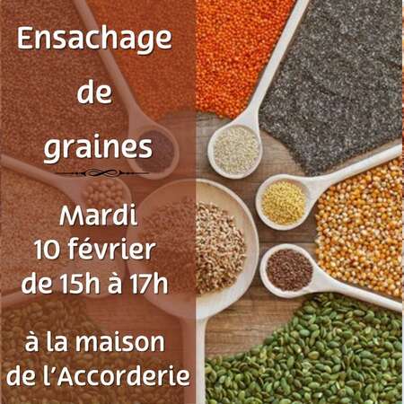 Ensachage de graines